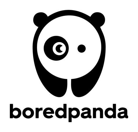 borepanda|bored panda founded.